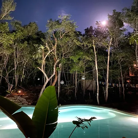 Casa Arkaana Eco Retreat Hotel