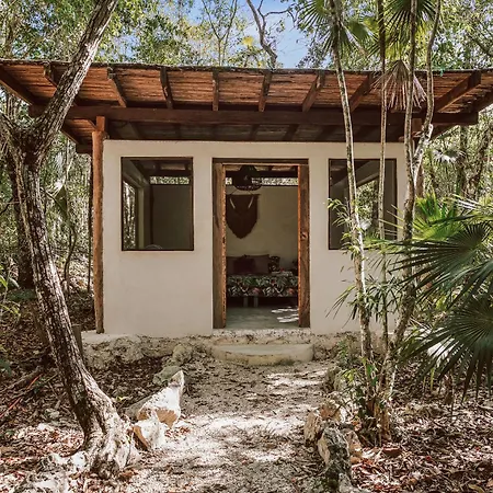 Casa Arkaana Eco Retreat